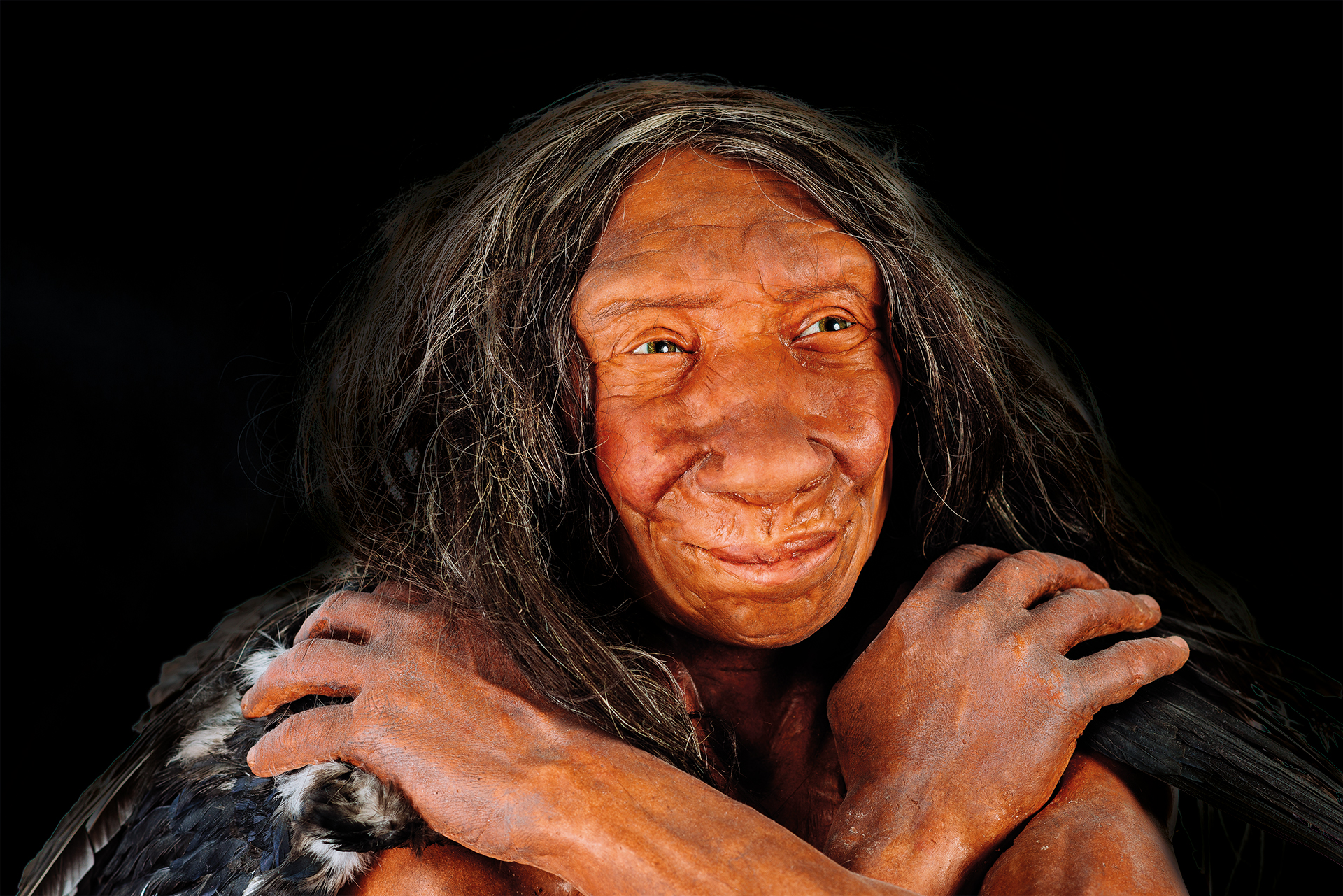 expona The Neanderthal Woman  Edm e museum exhibition 